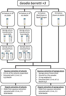 The Effects of Sampling and Storage Conditions on the Metabolite Profile of the Marine Sponge Geodia barretti